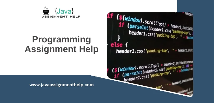 programming assignment help