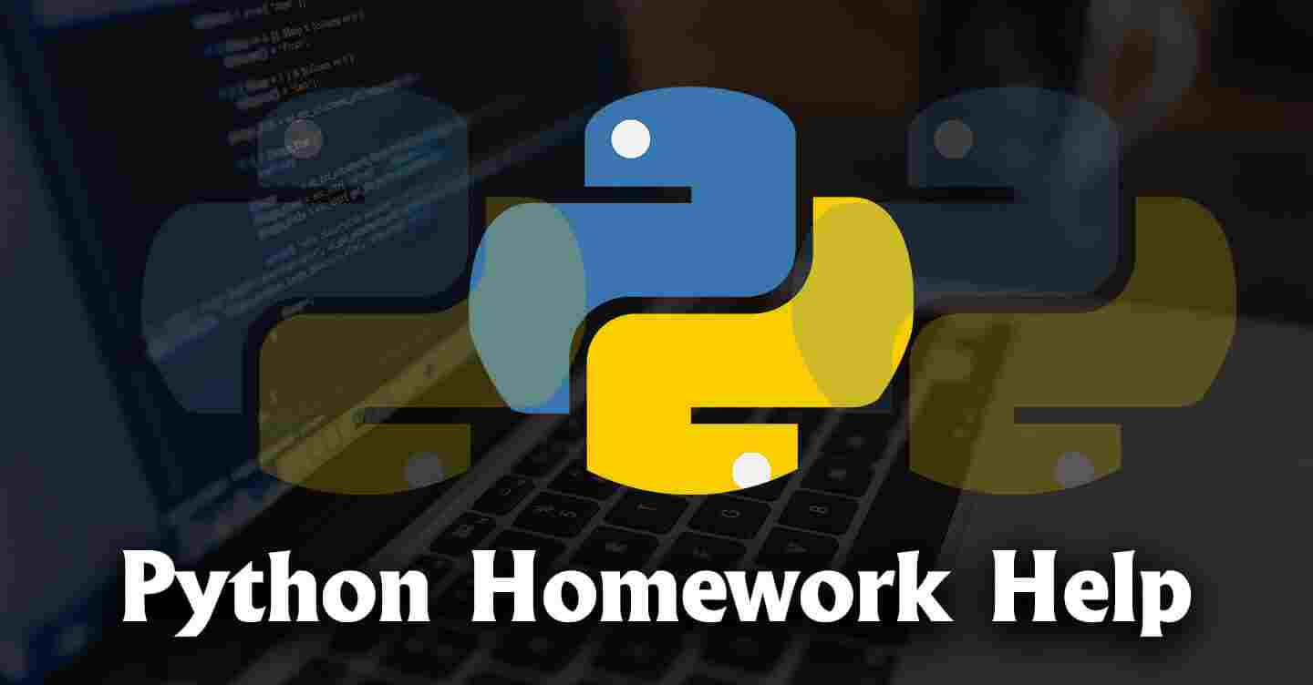 python coding homework help