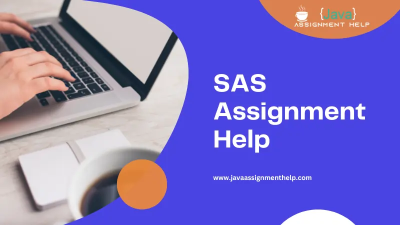 SAS assignment help