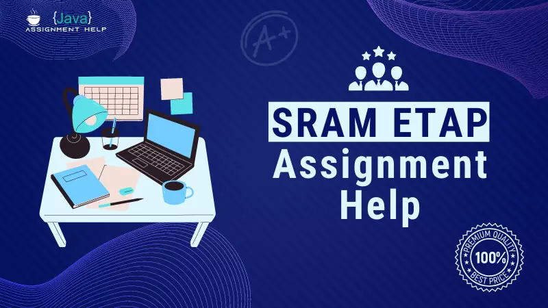 sram etap assignment help