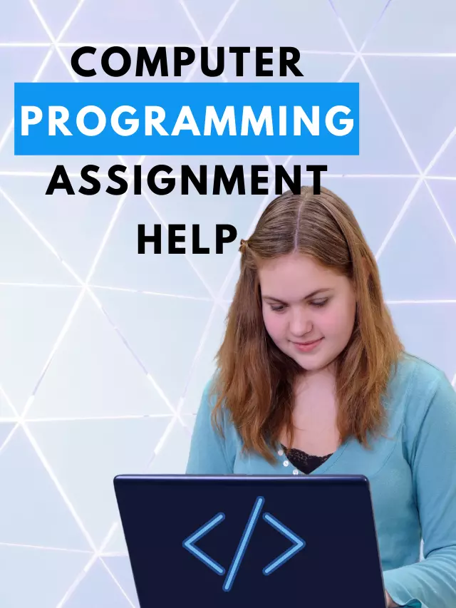 computer programming assignment help poster