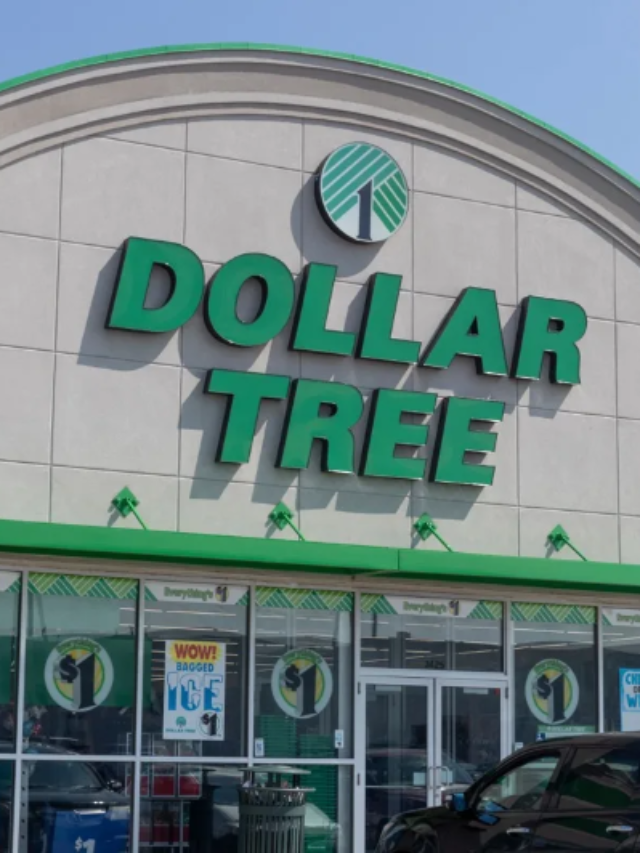 7-best-home-items-to-buy-at-dollar-tree-in-january