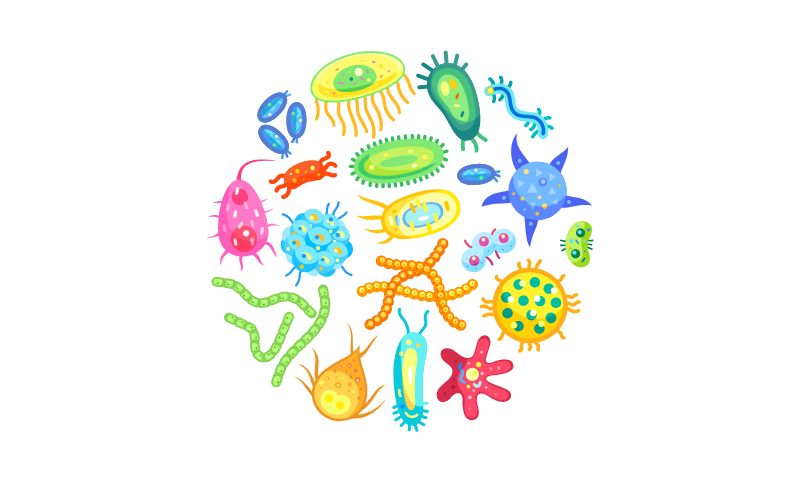 biology experimental project topics