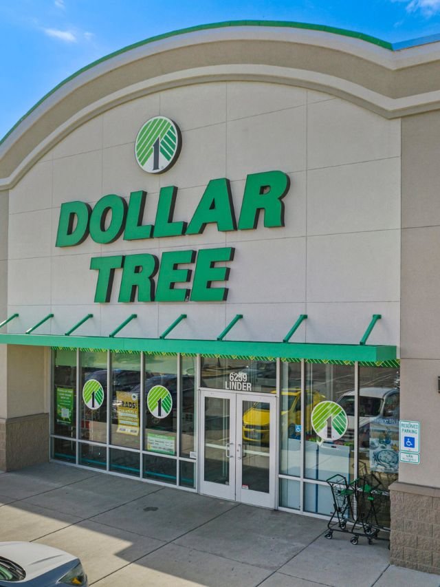 7 Cheap Dollar Tree Winter Items to Buy Now
