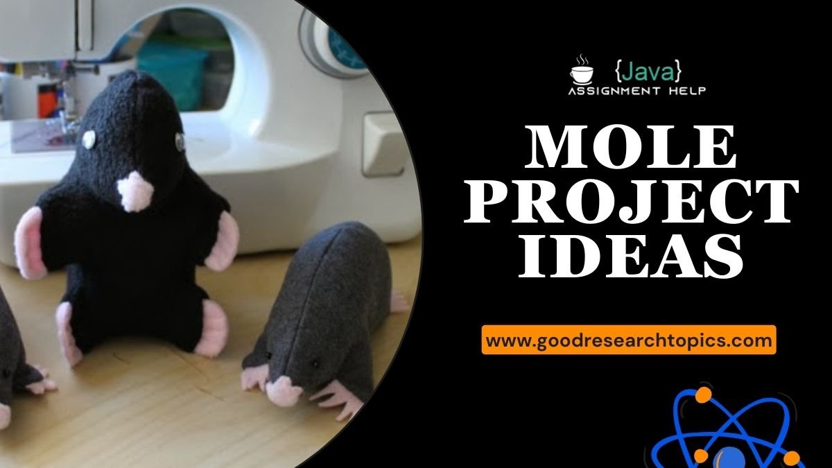 mole project ideas