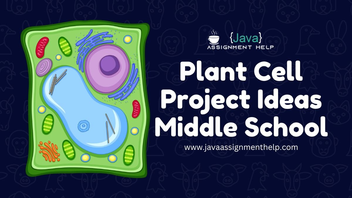 Plant Cell Project Ideas Middle School