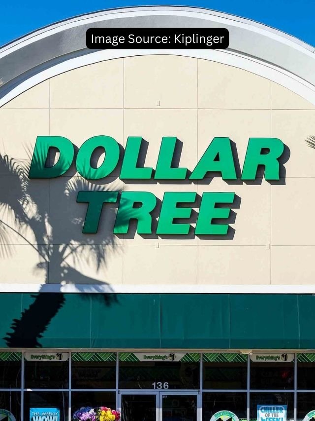 10 Best Dollar Tree Items To Buy Online in Bulk