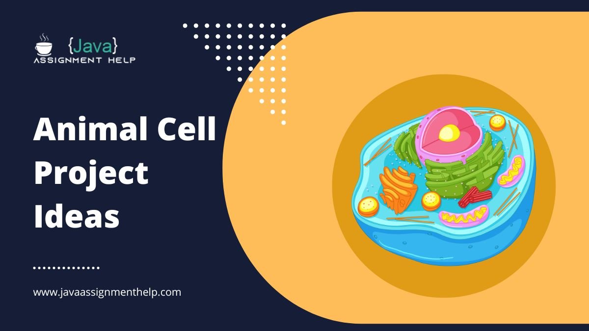 Animal Cell project ideas